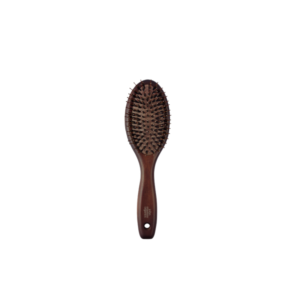 How to use a Boar Bristle Hairbrush - Christophe Robin